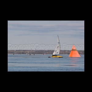 DSC_5524.jpg