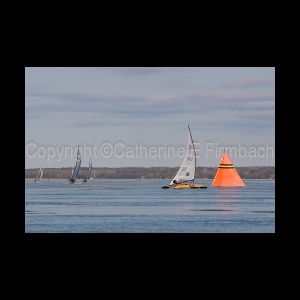 DSC_5527.jpg