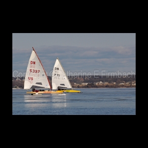 DSC_5548.jpg