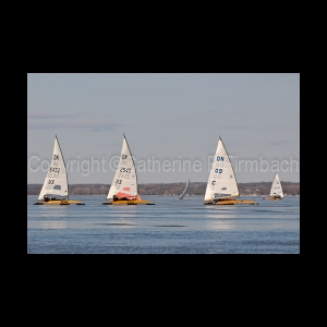 DSC_5572.jpg