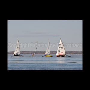 DSC_5584.jpg