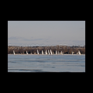 DSC_5600.jpg
