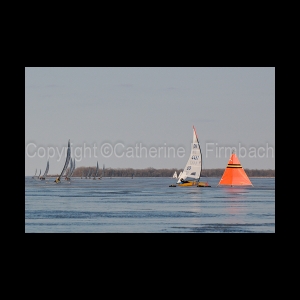 DSC_5611.jpg