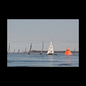 DSC_5621.jpg