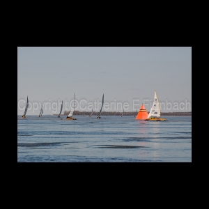 DSC_5633.jpg