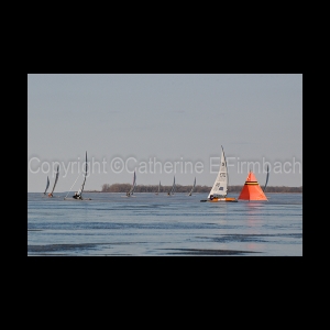 DSC_5638.jpg