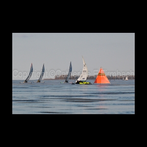 DSC_5669.jpg