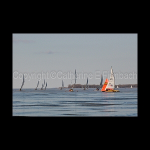DSC_5677.jpg