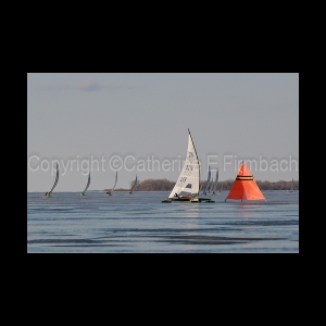 DSC_5686.jpg