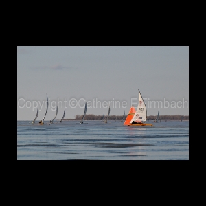DSC_5688.jpg