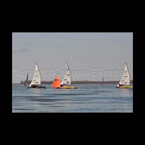 DSC_5712.jpg