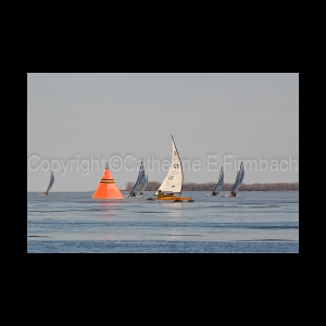 DSC_5722.jpg