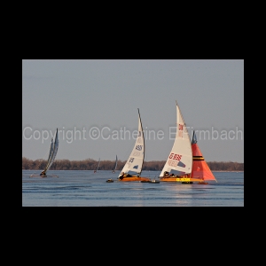 DSC_5822.jpg