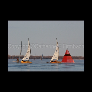 DSC_5830.jpg