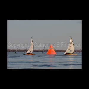 DSC_8774.jpg