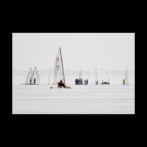 DSC_5953.jpg