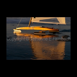 DSC_8962.jpg