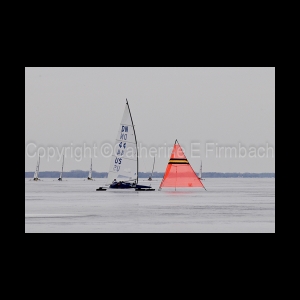 DSC_9117.jpg