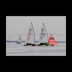 DSC_9128.jpg