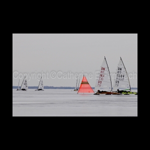 DSC_9130.jpg