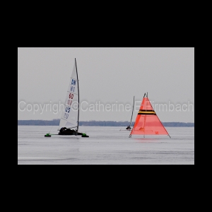 DSC_9132.jpg
