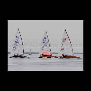 DSC_9162.jpg