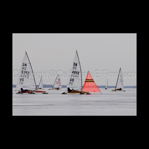 DSC_9169.jpg