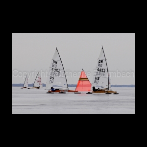 DSC_9170.jpg