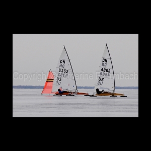 DSC_9171.jpg