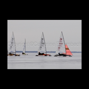 DSC_9180.jpg