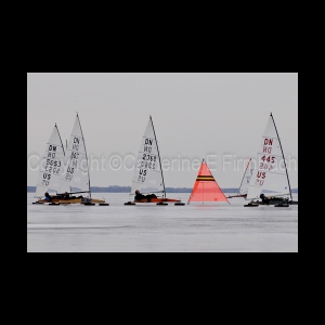 DSC_9181.jpg