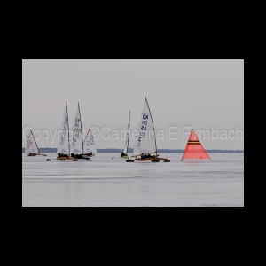 DSC_9186.jpg