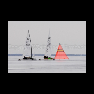 DSC_9256.jpg