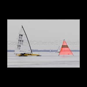 DSC_9297.jpg