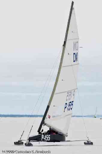 CEF8559.jpg
